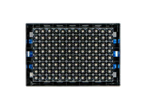 SAFE® SX300 fagyasztócsövek, 300 mikroliter térfogattal
