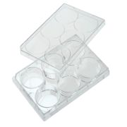 6 lyukú sejttenyésztő lemez fedéllel, 9,60cm2, felületkezelt, steril, egyesével csomagolt, 50 db / csomag