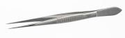 Forceps 18/10 steel, sharp, L=160mm