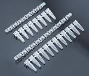 PCR csőfüzér, 0,2 ml-es, több formában