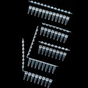 PCR cső-és tetőfüzér, domború tetővel, 0,2 ml, 8 tagos, 125 db/csomag