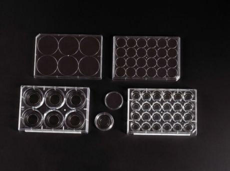 Cell culture dish and plates with glass bottom