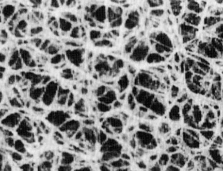 Regenerated cellulose membrane filter, white