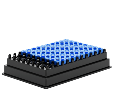 XT96 screw caps, racked